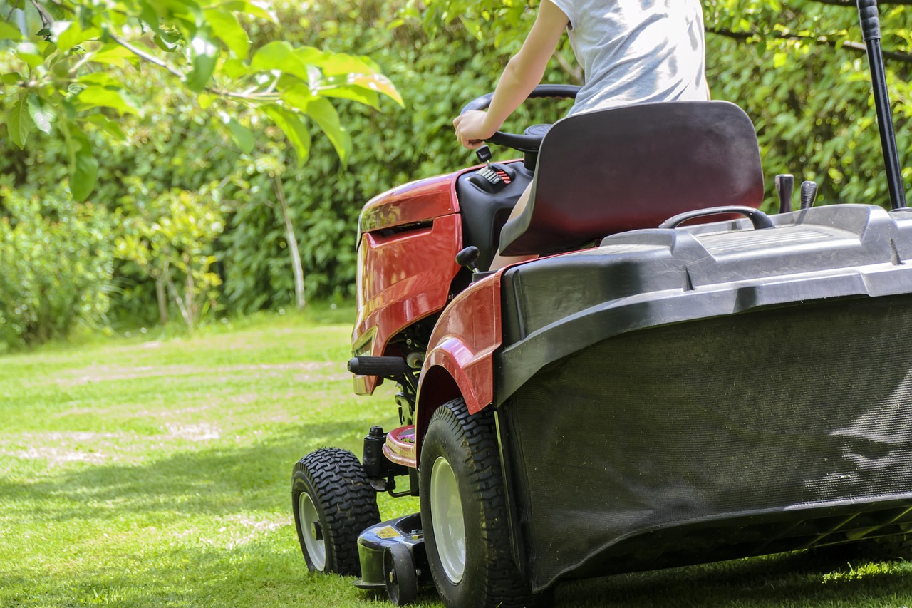 mowing the grass, gardening, lawn, garden, care, lawnmower, tractor, woman mowing, green, summer, nature, relaxation, automation, machine, garden accessories, hobby, grass
